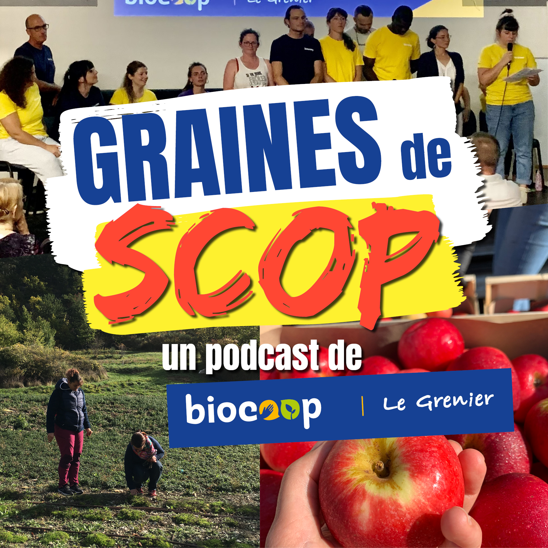 Nouveau podcast audio : Graines de SCOP !